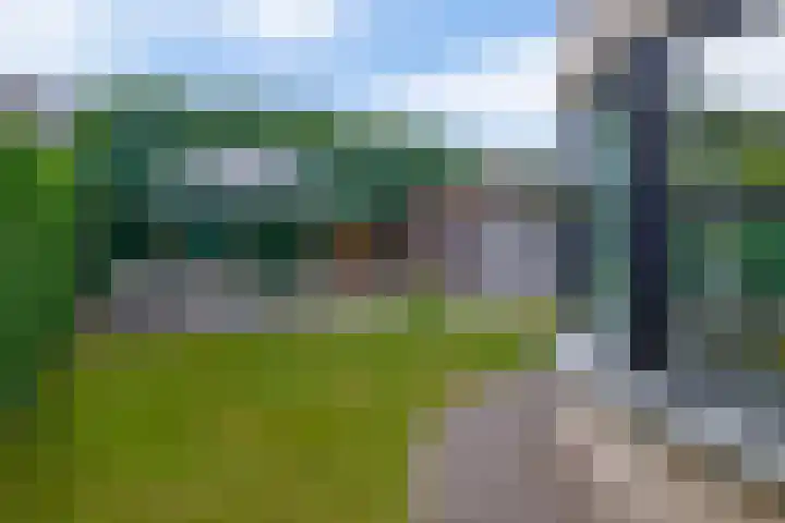 De Heijbloem 8 Nuenen thumbnail 4