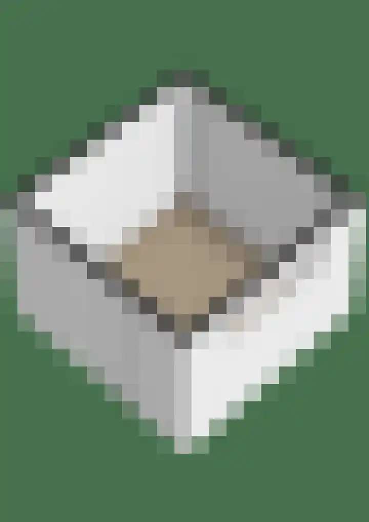 De Heijbloem 8 Nuenen thumbnail 45