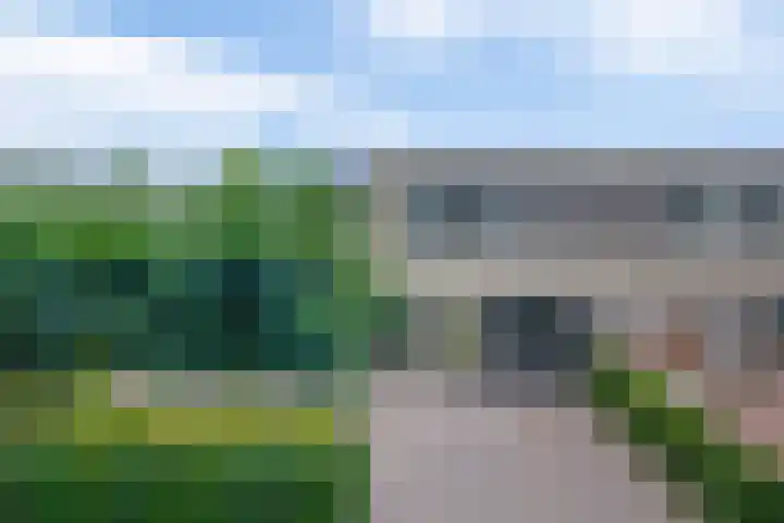 De Heijbloem 8 Nuenen thumbnail 6