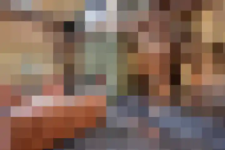 De Heikant 8 Helvoirt thumbnail 18
