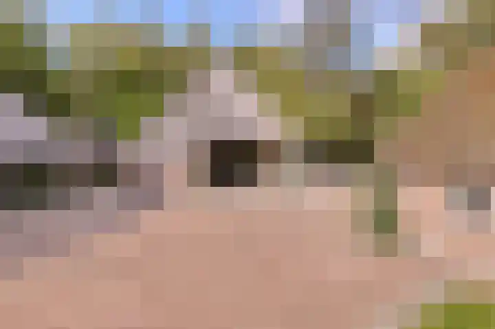 De Heikant 8 Helvoirt thumbnail 21