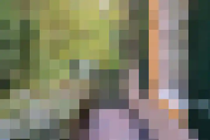 De Heikant 8 Helvoirt thumbnail 22