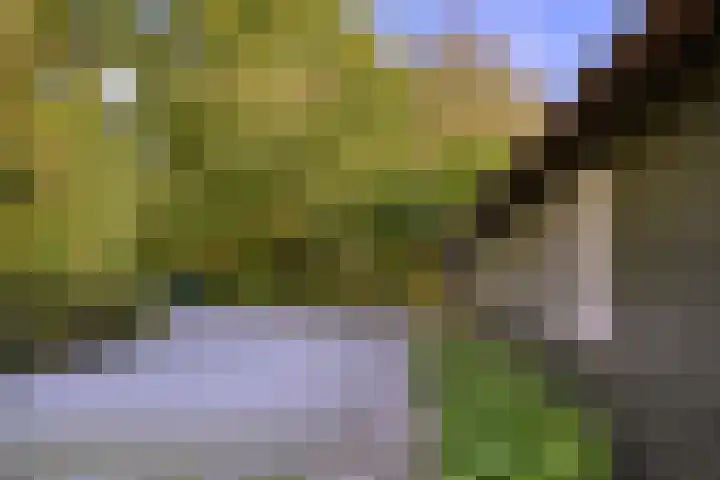 De Heikant 8 Helvoirt thumbnail 23