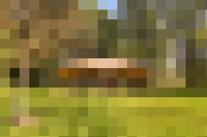 De Heikant 8 Helvoirt thumbnail 29
