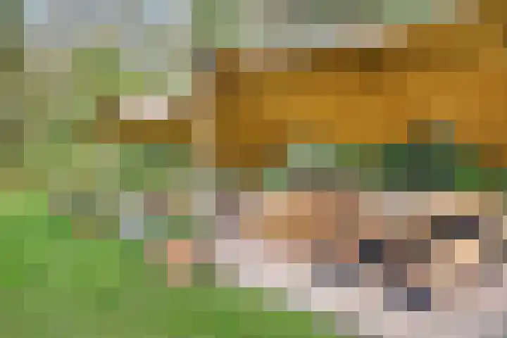 De Heikant 8 Helvoirt thumbnail 30