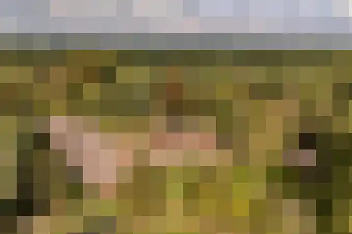 De Heikant 8 Helvoirt thumbnail 31