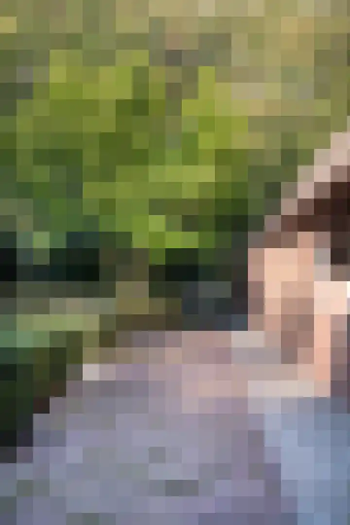 De Heikant 8 Helvoirt thumbnail 33