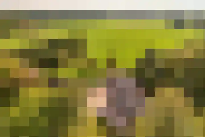 De Heikant 8 Helvoirt thumbnail 35
