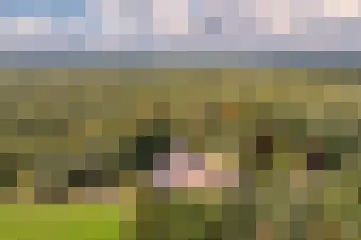 De Heikant 8 Helvoirt thumbnail 36