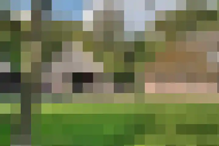 De Heikant 8 Helvoirt thumbnail 37