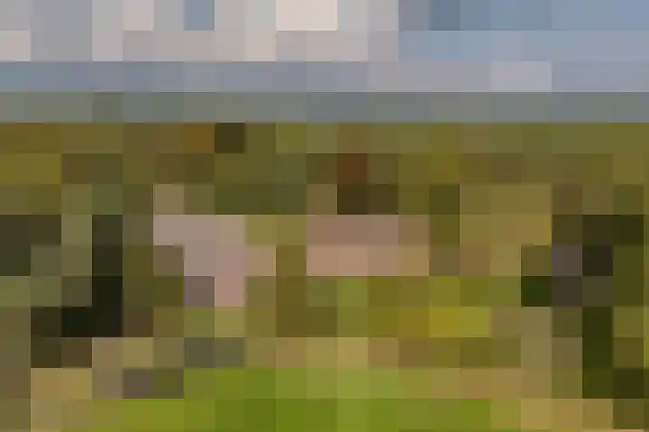 De Heikant 8 Helvoirt thumbnail 38