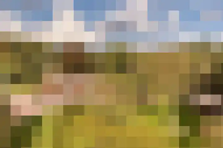 De Heikant 8 Helvoirt thumbnail 39