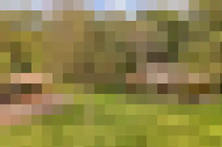 De Heikant 8 Helvoirt thumbnail 4