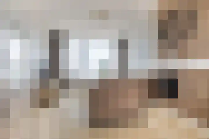 De Heiningen 14 Dorst thumbnail 10