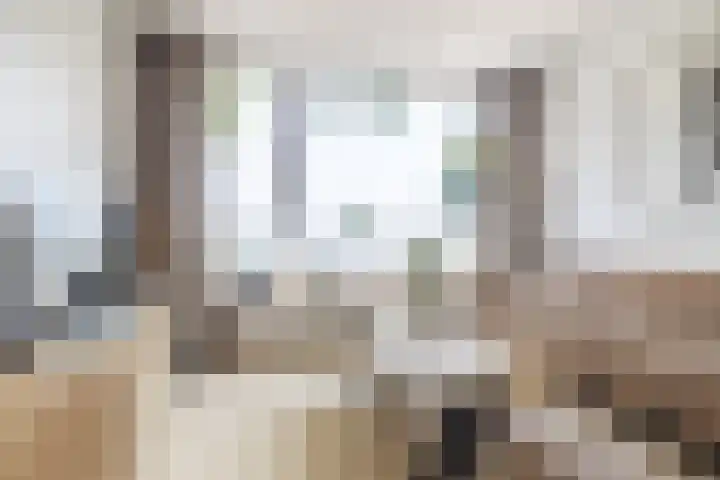 De Heiningen 14 Dorst thumbnail 11