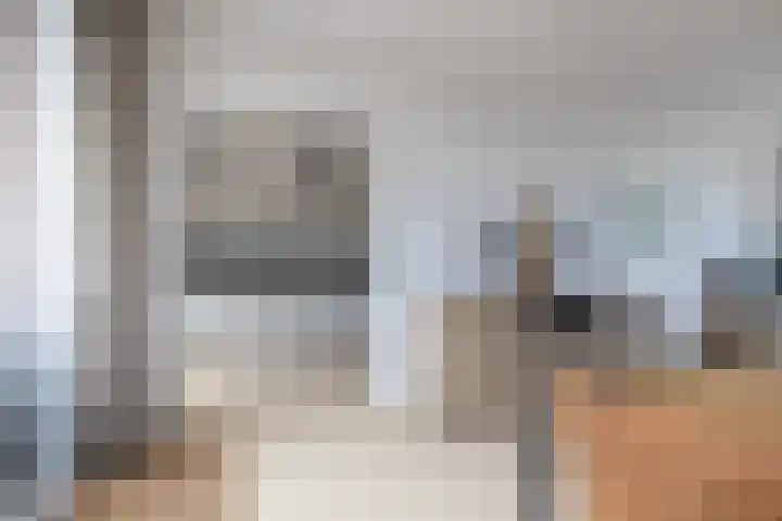 De Heiningen 14 Dorst thumbnail 16