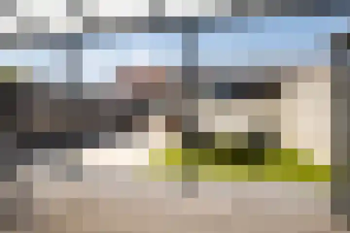 De Heiningen 14 Dorst thumbnail 17