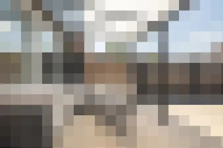 De Heiningen 14 Dorst thumbnail 18