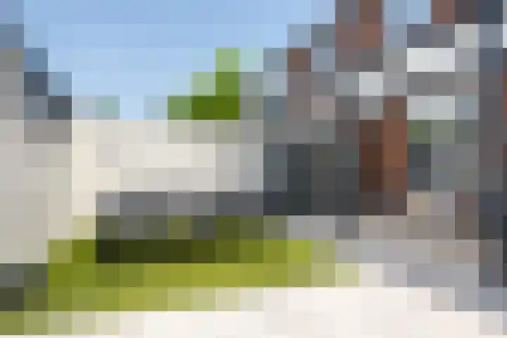 De Heiningen 14 Dorst thumbnail 19