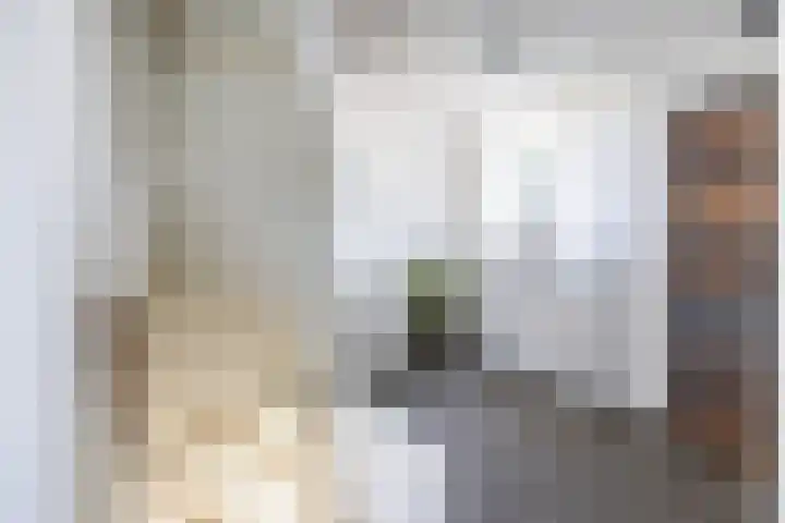 De Heiningen 14 Dorst thumbnail 20