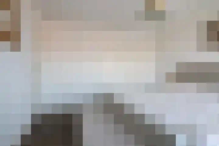 De Heiningen 14 Dorst thumbnail 25