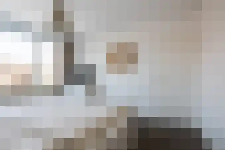 De Heiningen 14 Dorst thumbnail 26