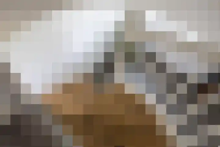 De Heiningen 14 Dorst thumbnail 31