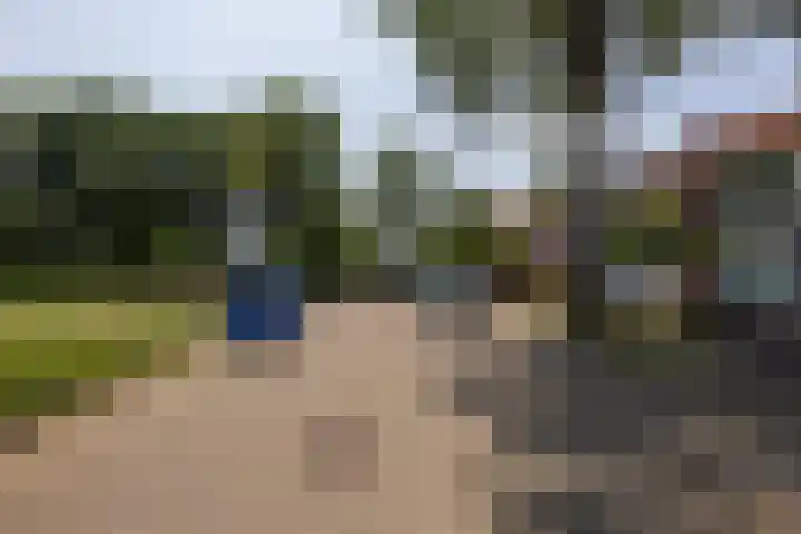 De Heiningen 14 Dorst thumbnail 37