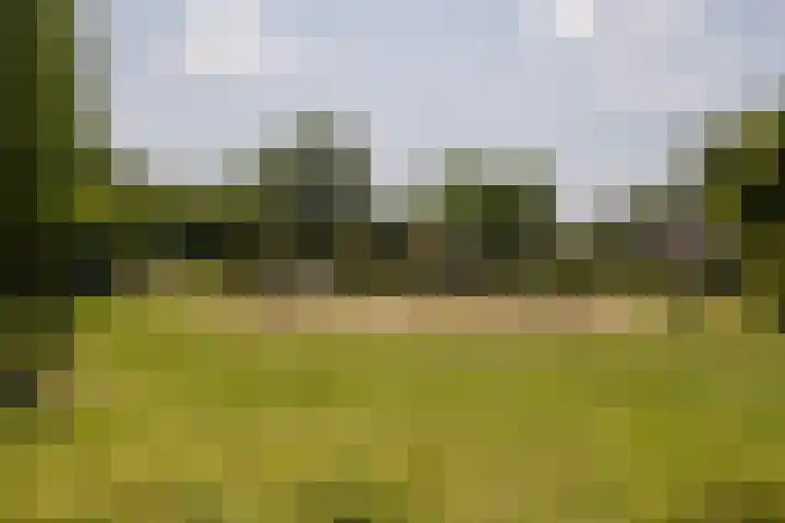 De Heiningen 14 Dorst thumbnail 38