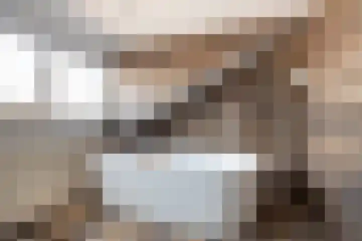 De Heiningen 14 Dorst thumbnail 4