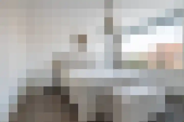 De Heiningen 14 Dorst thumbnail 5