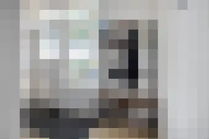 De Heiningen 14 Dorst thumbnail 7