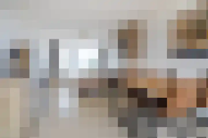 De Heiningen 14 Dorst thumbnail 9