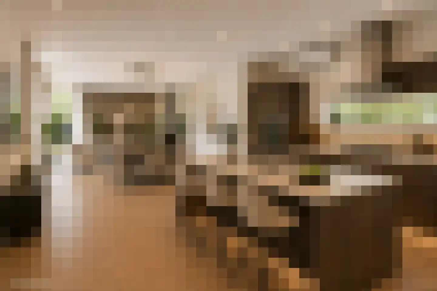 De Heiningen 19 Dorst thumbnail 10