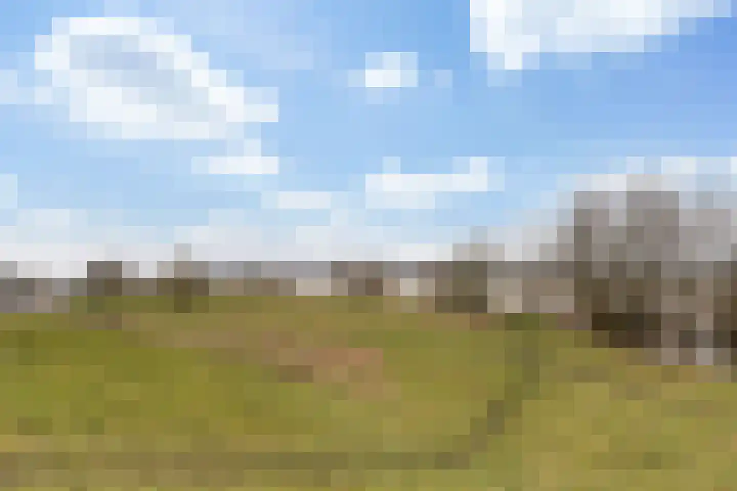 De Heiningen 19 Dorst thumbnail 12