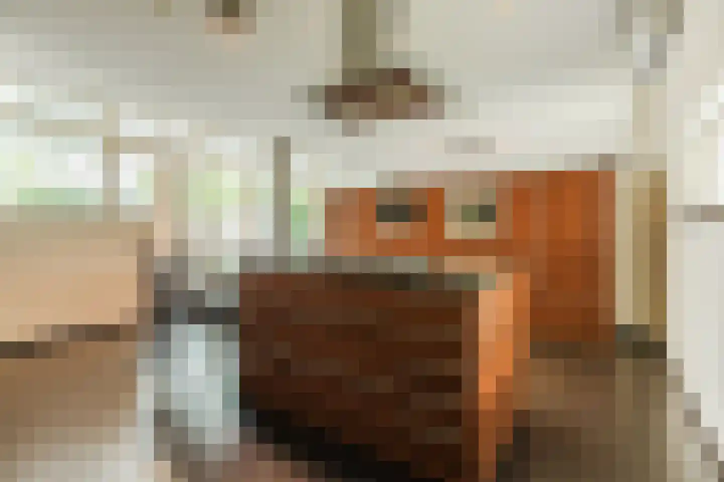 De Heiningen 19 Dorst thumbnail 13