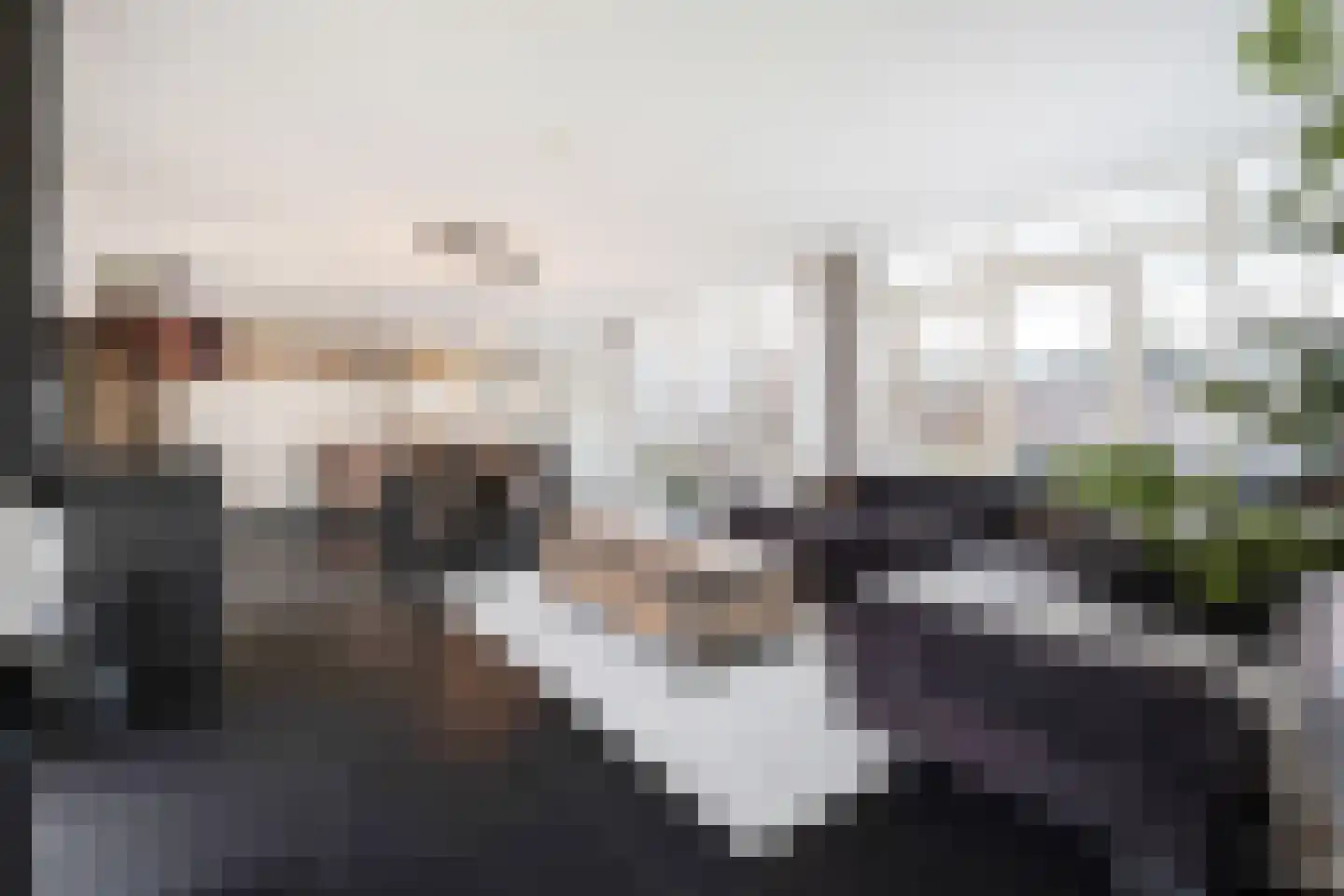 De Heiningen 19 Dorst foto 2