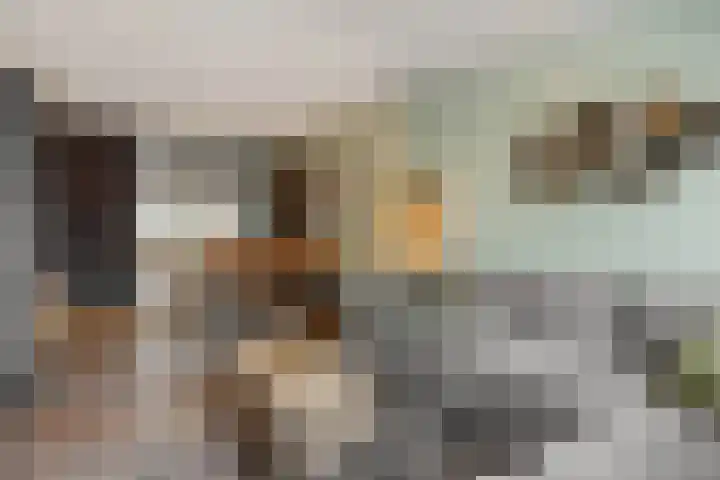 De Heiningen 19 Dorst thumbnail 26