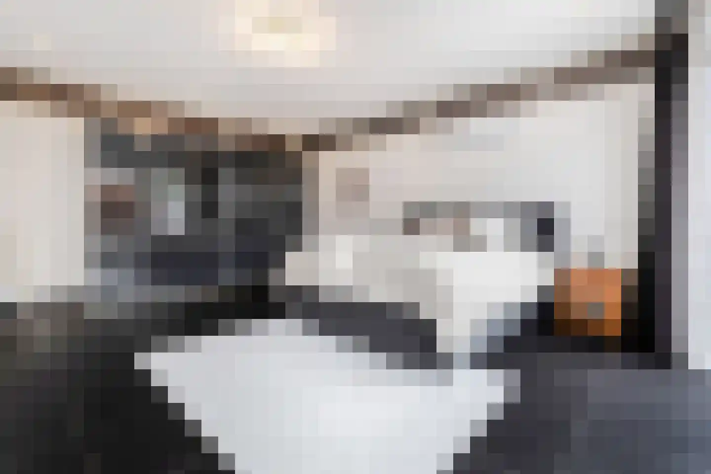 De Heiningen 19 Dorst thumbnail 30