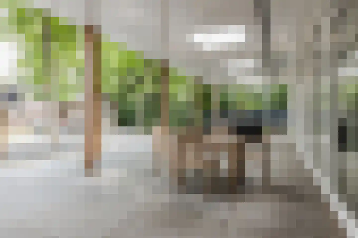 De Heiningen 19 Dorst thumbnail 34