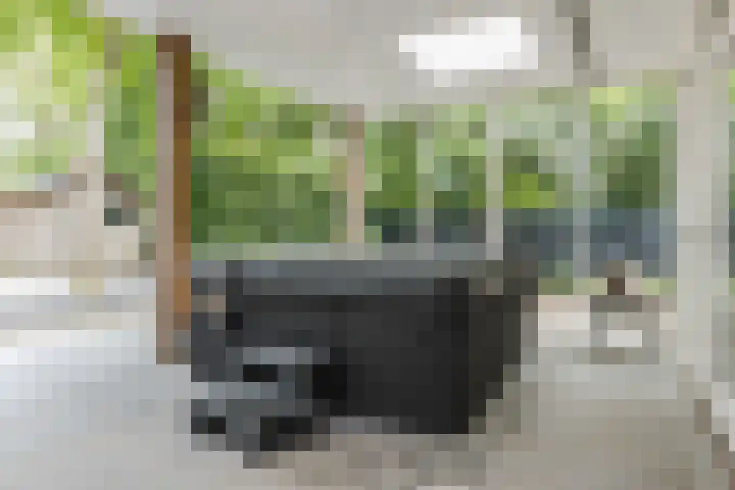 De Heiningen 19 Dorst thumbnail 35