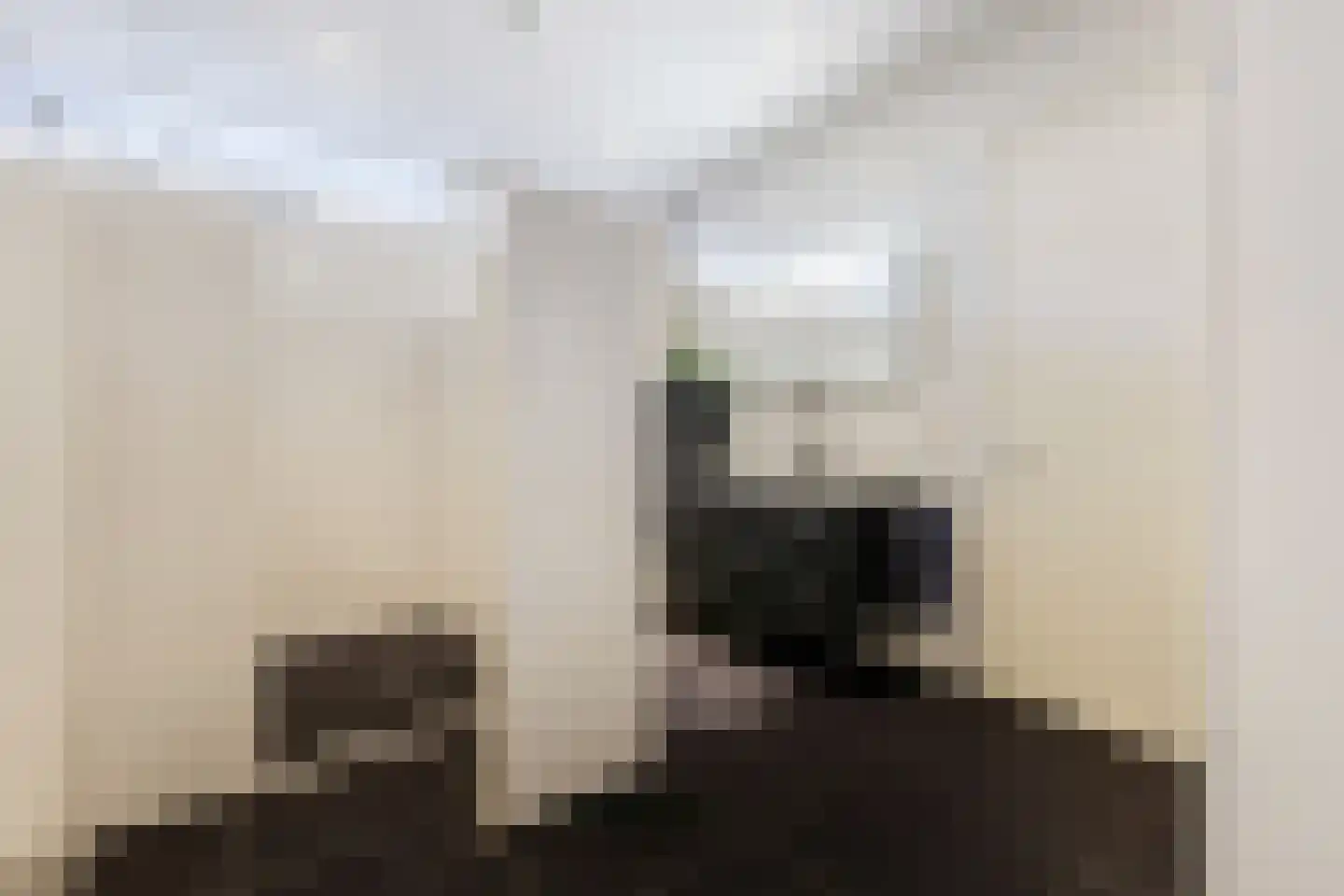 De Heiningen 19 Dorst thumbnail 36