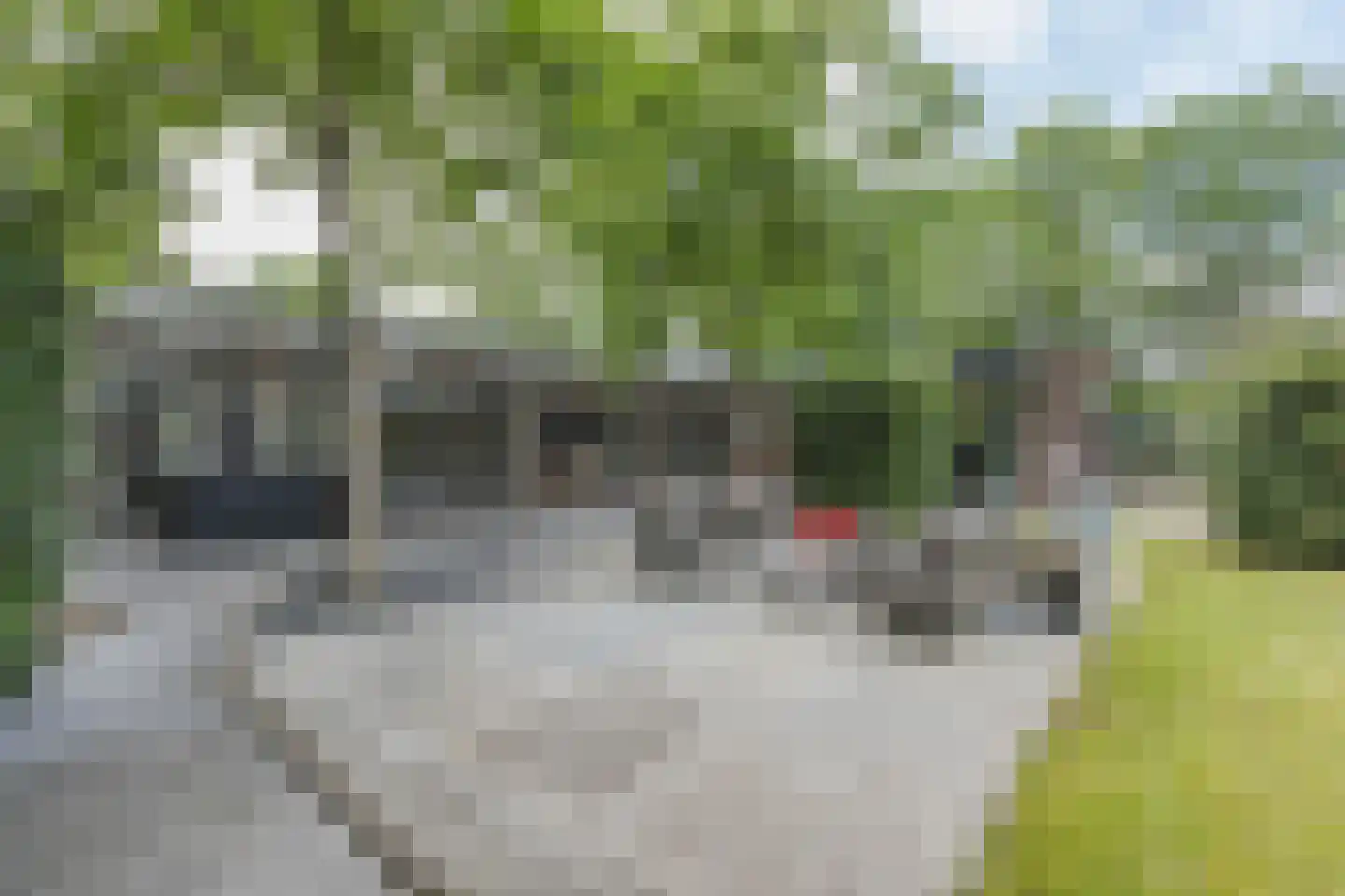 De Heiningen 19 Dorst thumbnail 37