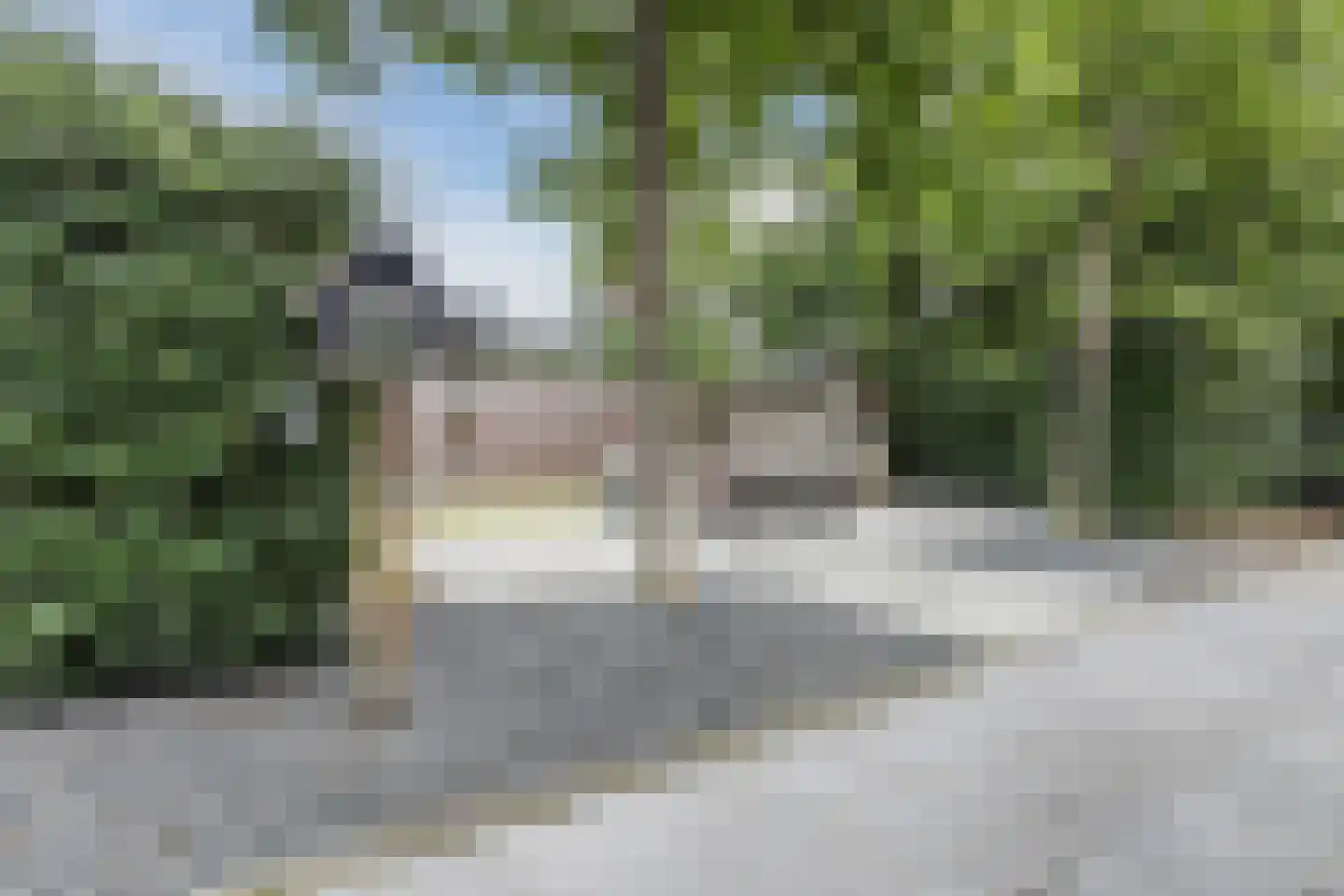 De Heiningen 19 Dorst thumbnail 39