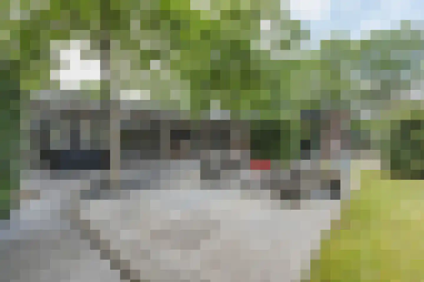 De Heiningen 19 Dorst thumbnail 4