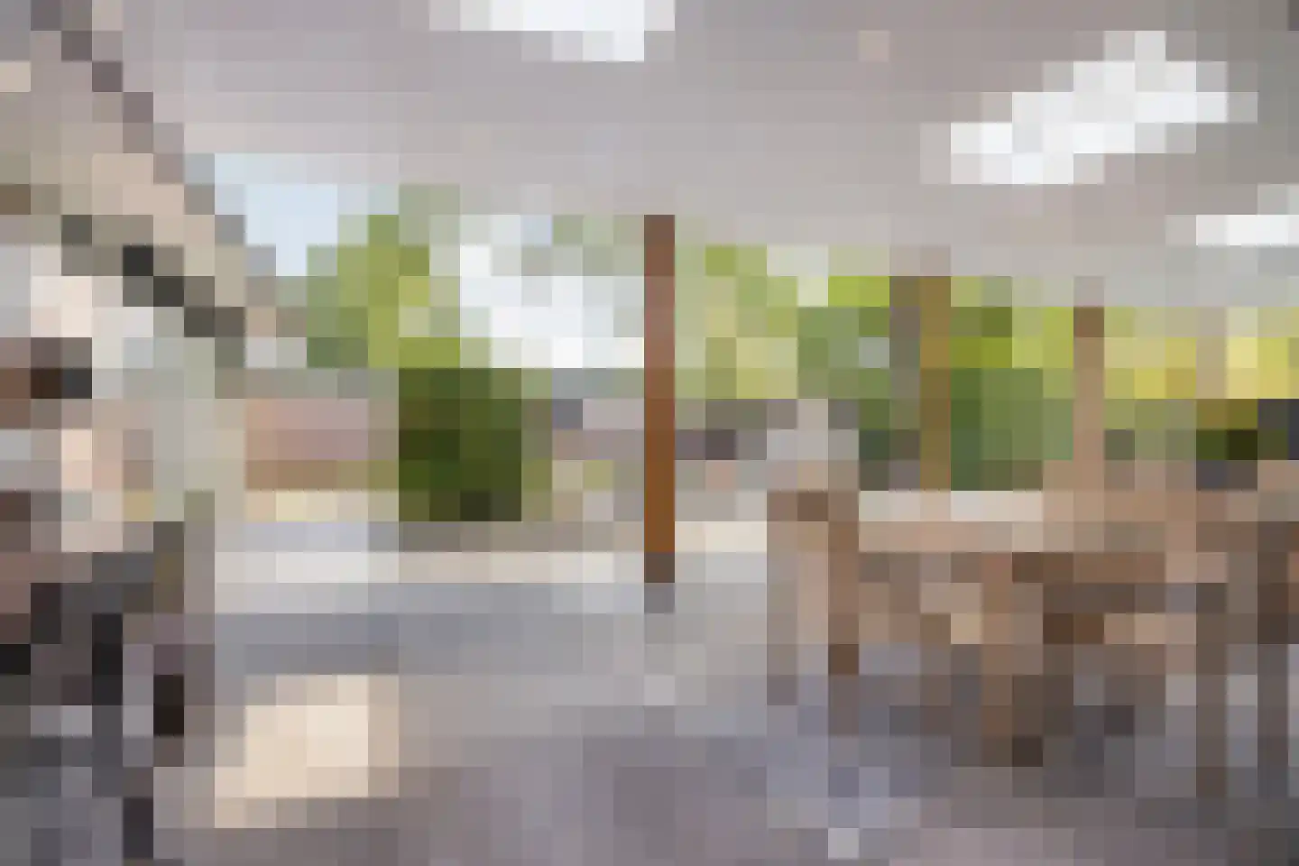 De Heiningen 19 Dorst thumbnail 40