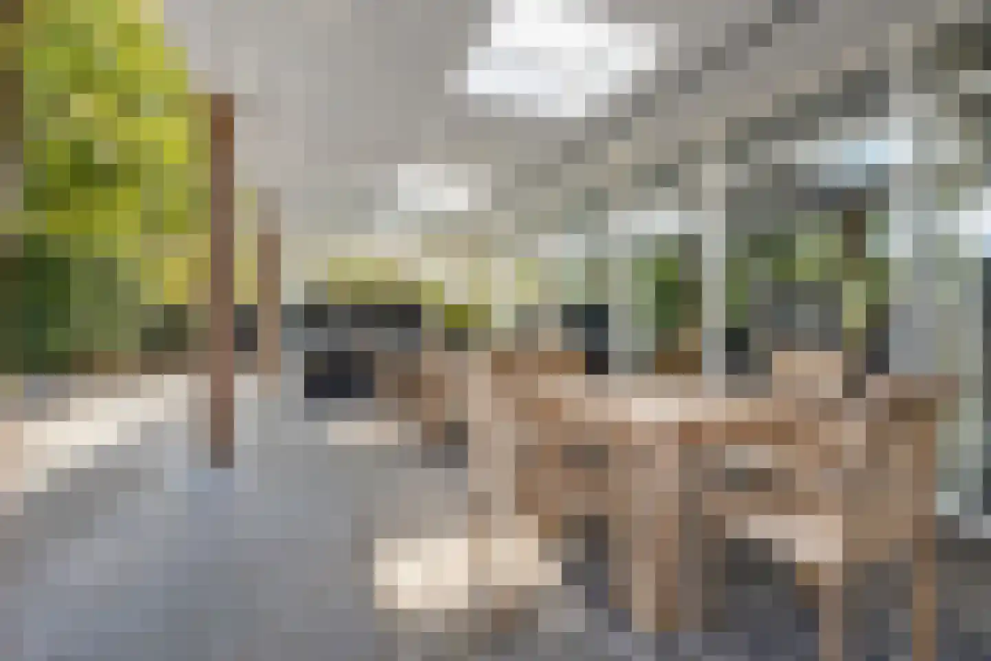 De Heiningen 19 Dorst thumbnail 42