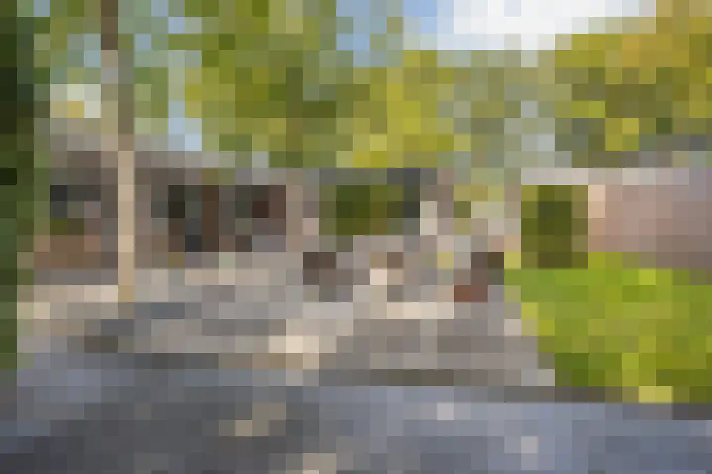 De Heiningen 19 Dorst thumbnail 44