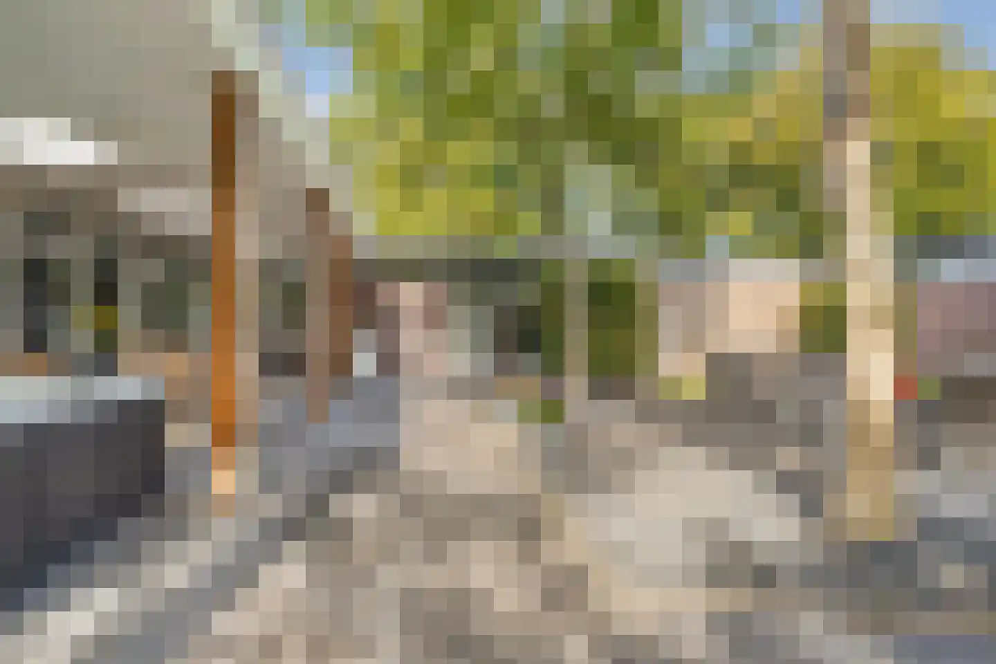 De Heiningen 19 Dorst thumbnail 45