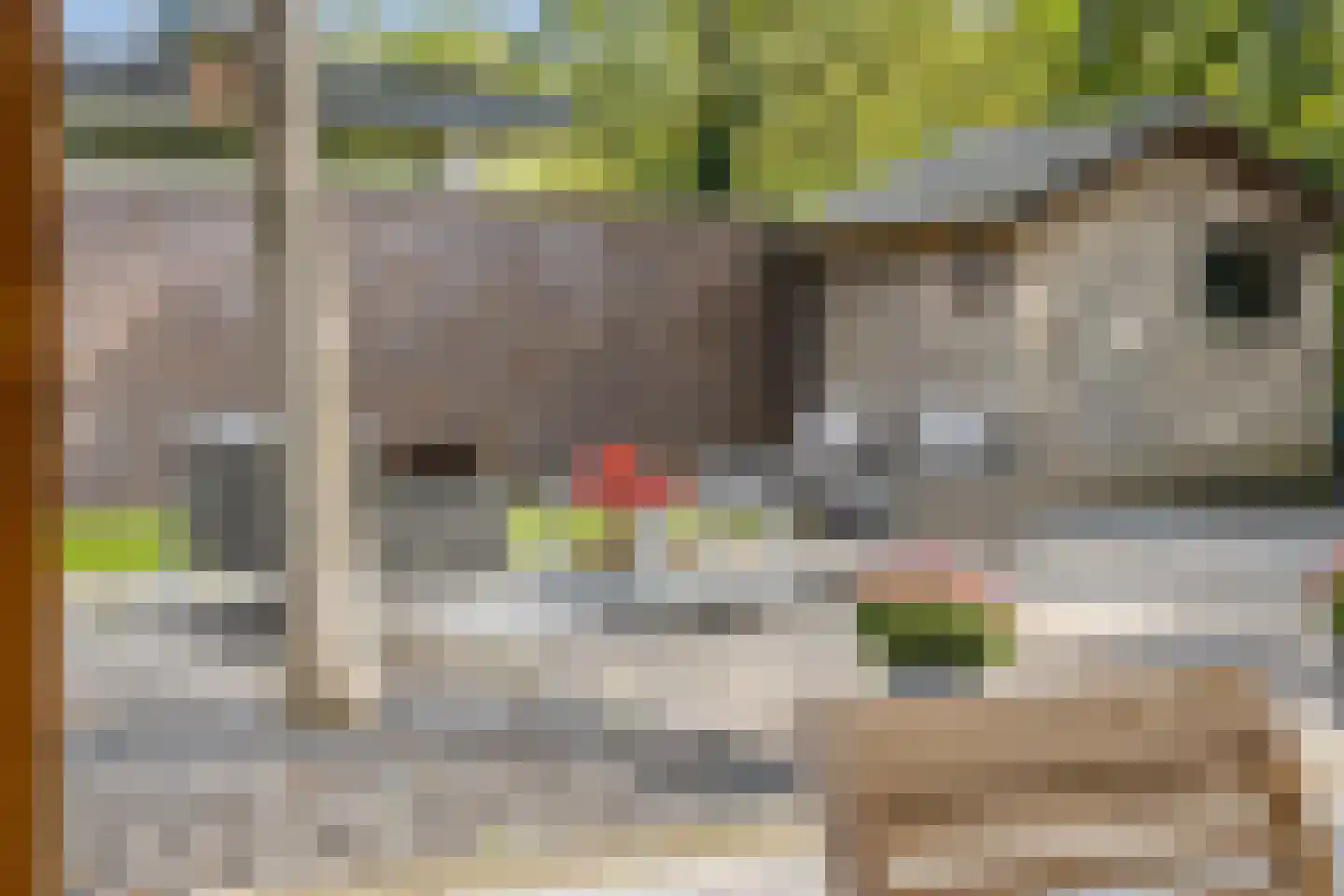 De Heiningen 19 Dorst thumbnail 46